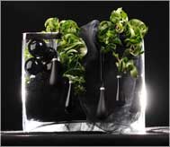 Hoya | Inspiratie
